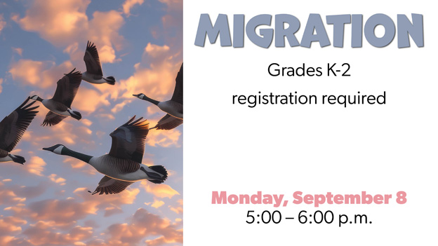 Migration, click for details